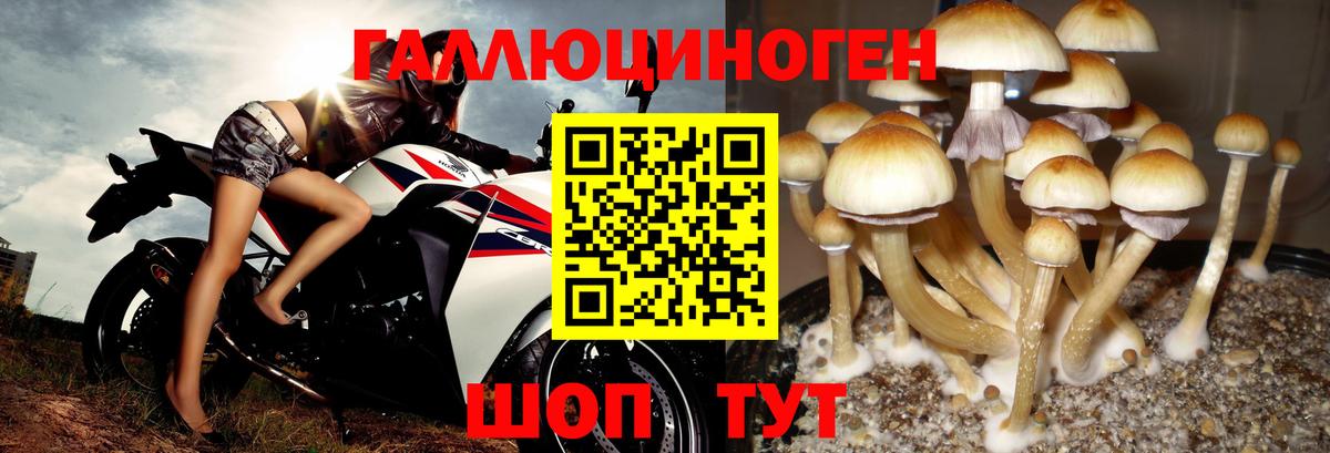 Галлюциногенные грибы MAGIC MUSHROOMS Усть-Илимск