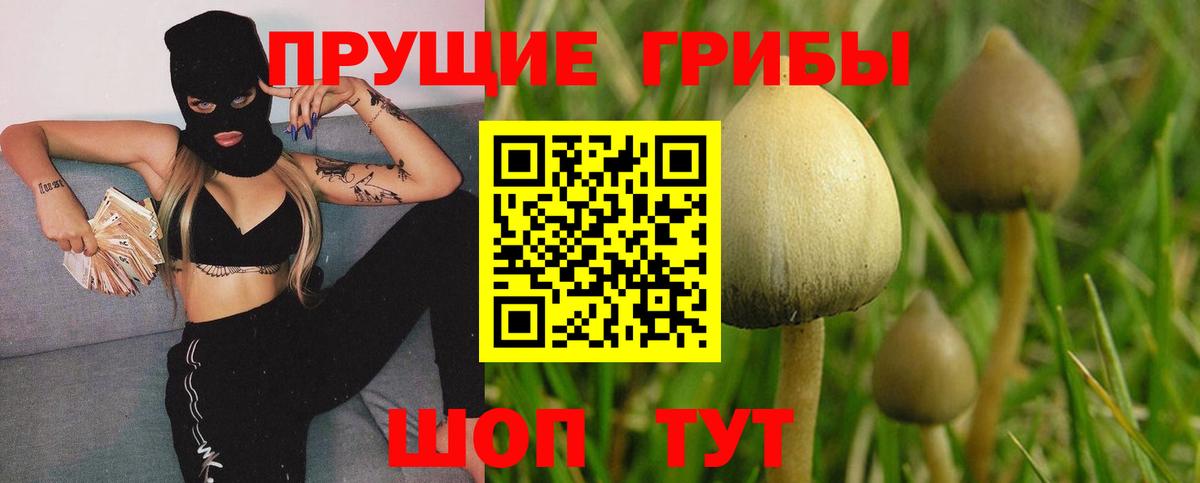 Галлюциногенные грибы Усть-Илимск